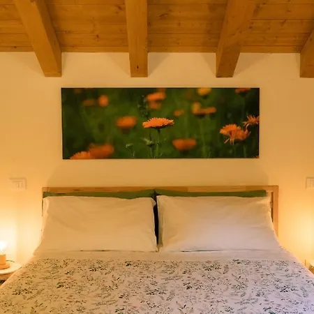 Casera Val Montina - Dolomiti Wild 여관