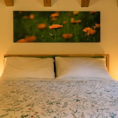 Penzion Casera Val Montina - Dolomiti Wild *