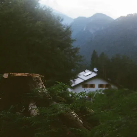 Casera Val Montina - Dolomiti Wild Zajazd Perarolo di Cadore